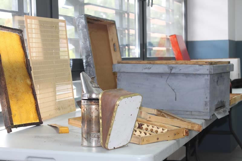 Semana Ciencias en Los Tilos